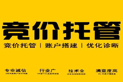 SEM公司案例分享：优化效果与转化率提升策略